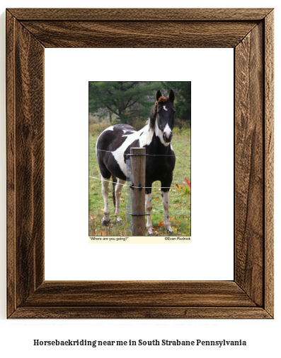 horseback riding near me in South Strabane, Pennsylvania